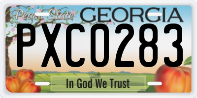 GA license plate PXC0283