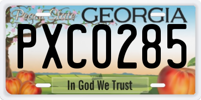GA license plate PXC0285