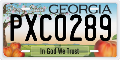 GA license plate PXC0289
