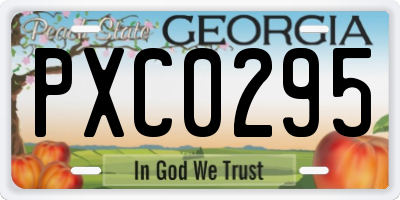 GA license plate PXC0295