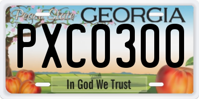 GA license plate PXC0300