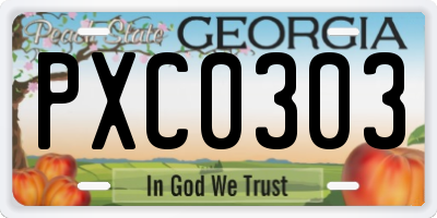 GA license plate PXC0303