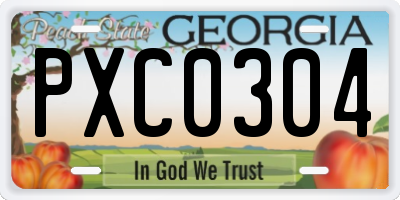 GA license plate PXC0304