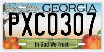 GA license plate PXC0307
