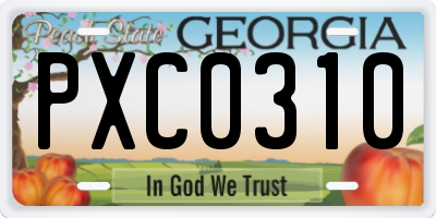 GA license plate PXC0310