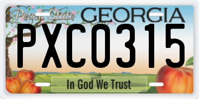 GA license plate PXC0315