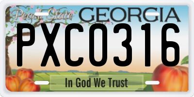 GA license plate PXC0316