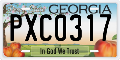 GA license plate PXC0317