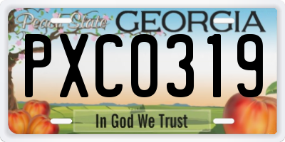 GA license plate PXC0319