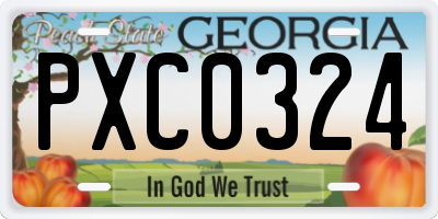 GA license plate PXC0324