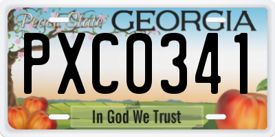 GA license plate PXC0341