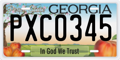 GA license plate PXC0345