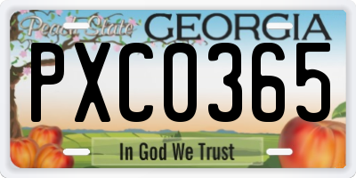 GA license plate PXC0365