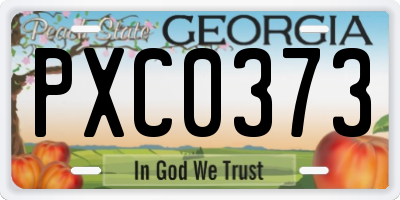 GA license plate PXC0373