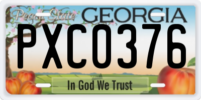 GA license plate PXC0376