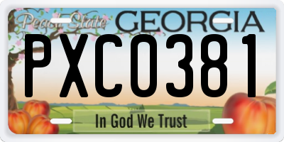 GA license plate PXC0381