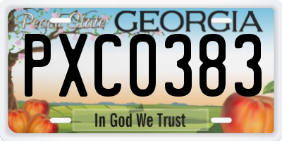 GA license plate PXC0383