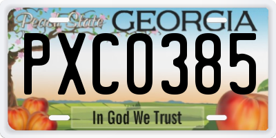 GA license plate PXC0385