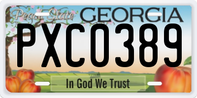 GA license plate PXC0389