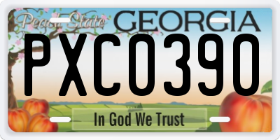 GA license plate PXC0390