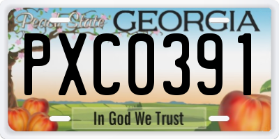 GA license plate PXC0391