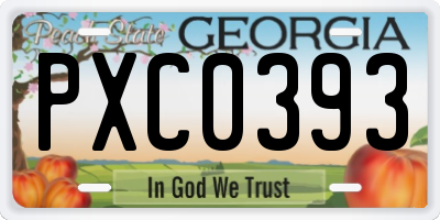 GA license plate PXC0393