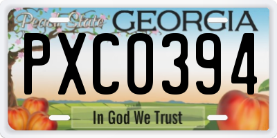 GA license plate PXC0394