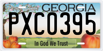 GA license plate PXC0395