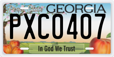 GA license plate PXC0407