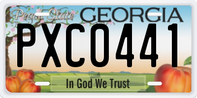 GA license plate PXC0441