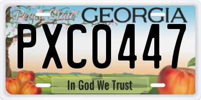 GA license plate PXC0447