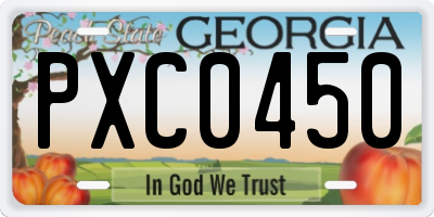 GA license plate PXC0450