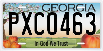 GA license plate PXC0463