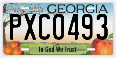 GA license plate PXC0493
