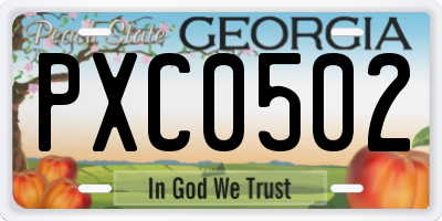 GA license plate PXC0502