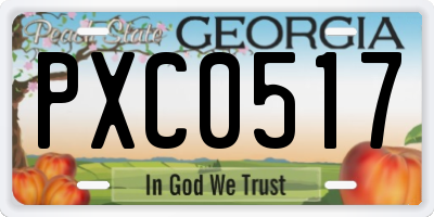 GA license plate PXC0517