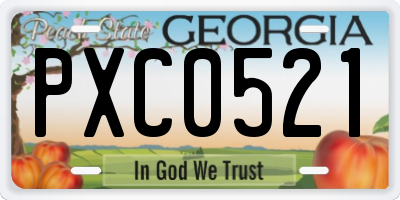 GA license plate PXC0521