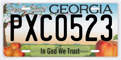GA license plate PXC0523