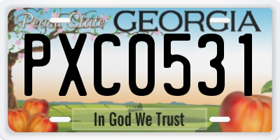 GA license plate PXC0531