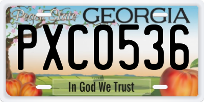 GA license plate PXC0536