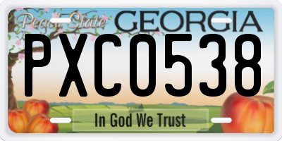 GA license plate PXC0538