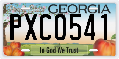 GA license plate PXC0541