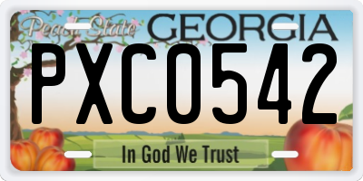 GA license plate PXC0542