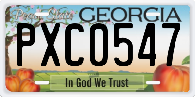 GA license plate PXC0547