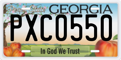 GA license plate PXC0550