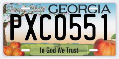 GA license plate PXC0551