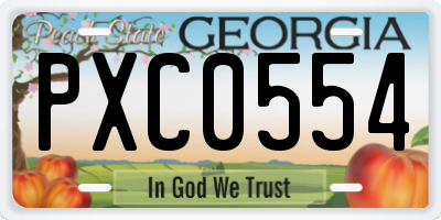 GA license plate PXC0554