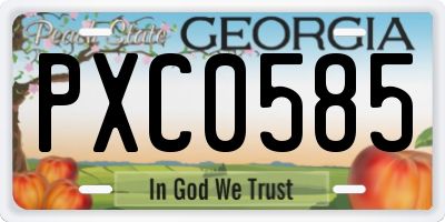 GA license plate PXC0585