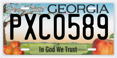 GA license plate PXC0589