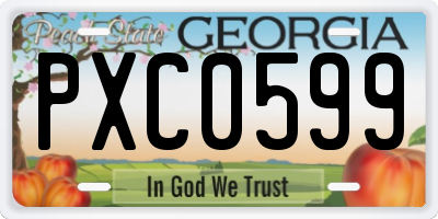 GA license plate PXC0599